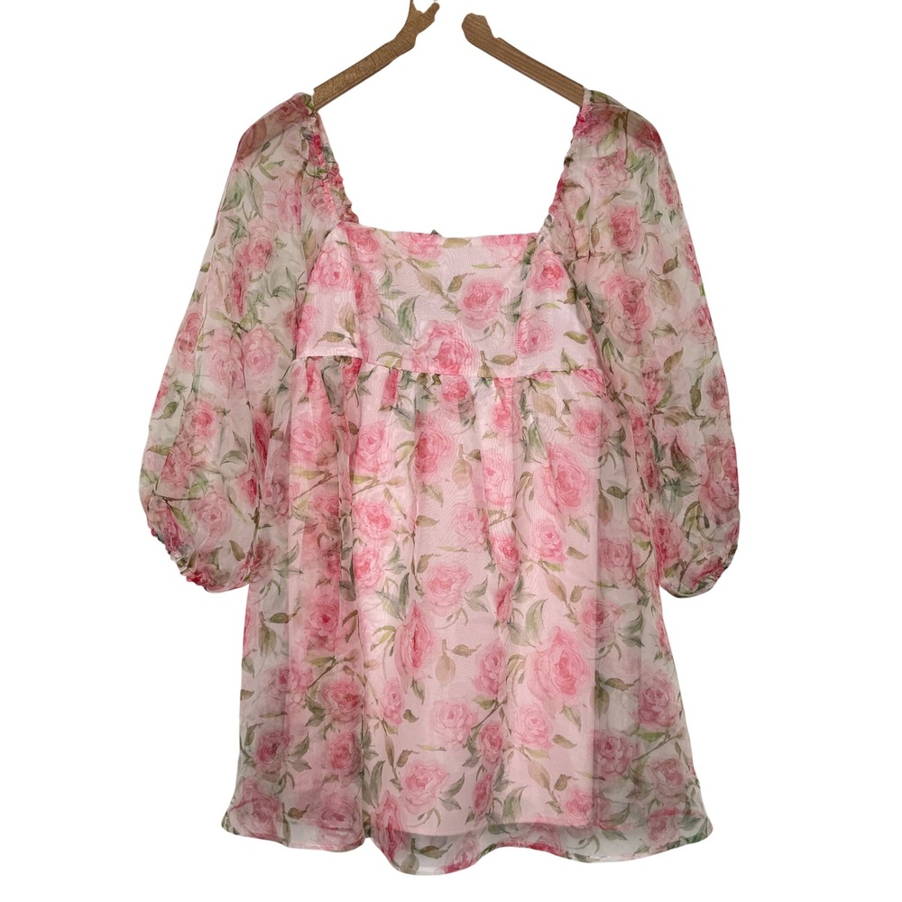 Floral Organza Babydoll Dress Pink Rose Puff Sleeve coquette Fairycore romantic